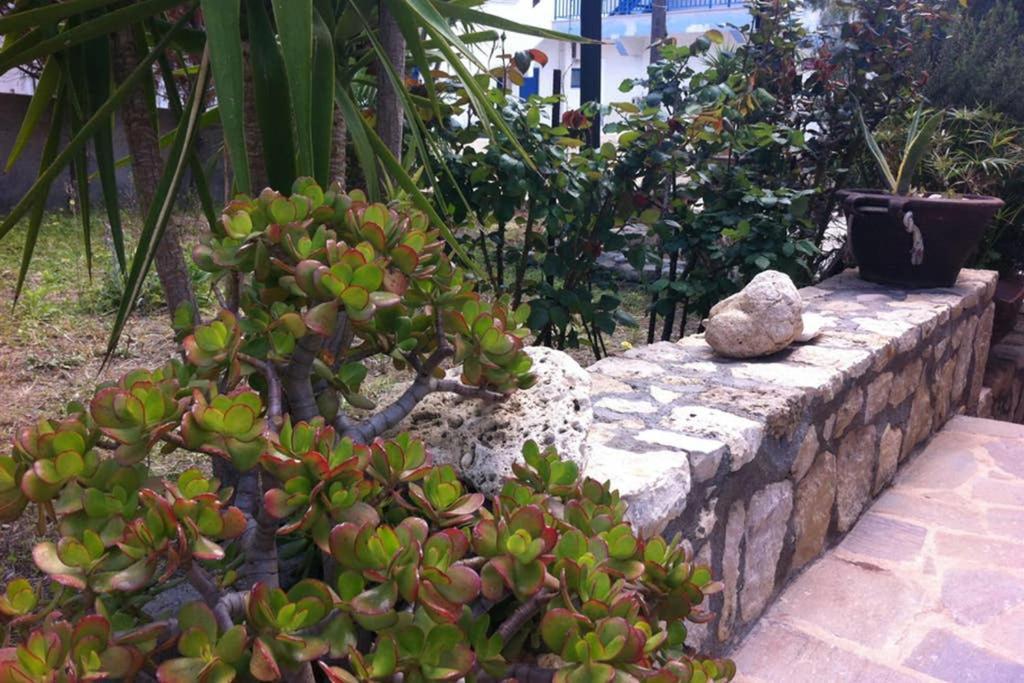 Mini Villas Green เกราตอกัมโปส ภายนอก รูปภาพ